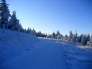 Cesta v zimě